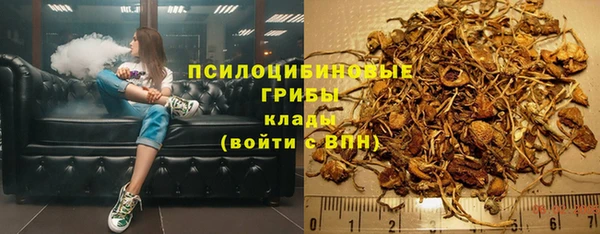 ALPHA-PVP Гусев