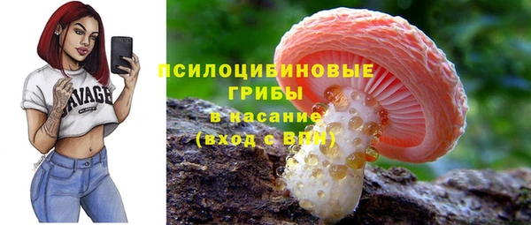 спиды Гусь-Хрустальный