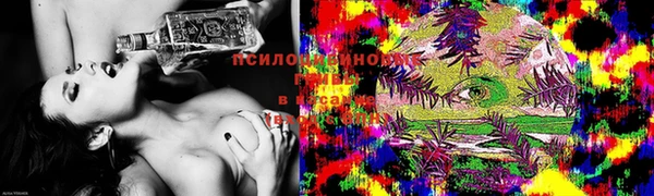 спиды Гусь-Хрустальный