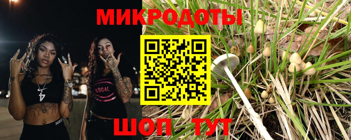 Галлюциногенные грибы мицелий Казань