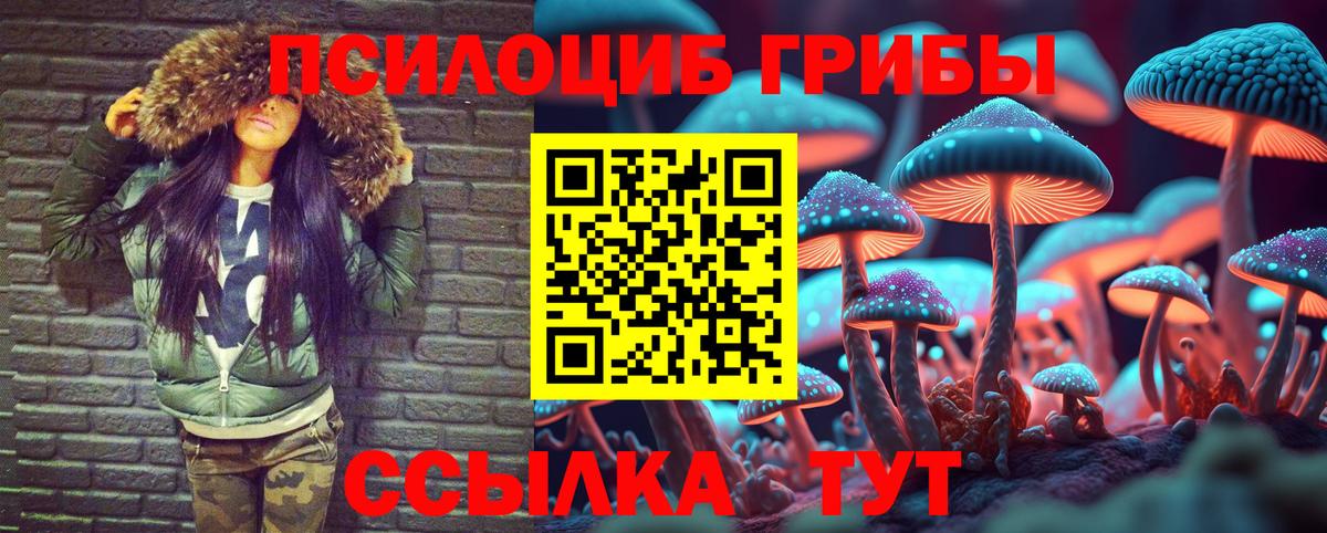 Галлюциногенные грибы Psilocybine cubensis  Вход с VPN  Галлюциногенные грибы MAGIC MUSHROOMS  Казань 